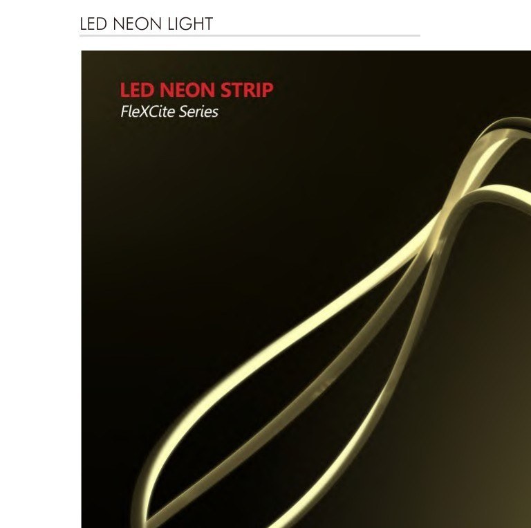 LED Neon Strip FleXCite Series catalogue cover